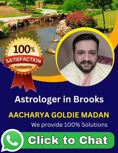Astrologer in Brooks